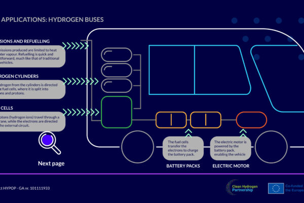 HYPOP-INFOGRAPHIC 1.C@4x-100